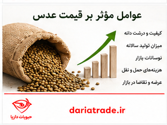 قیمت عدس عمده به روز