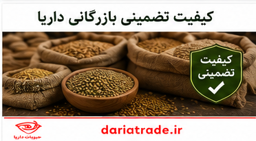 قیمت خرید عمده عدس