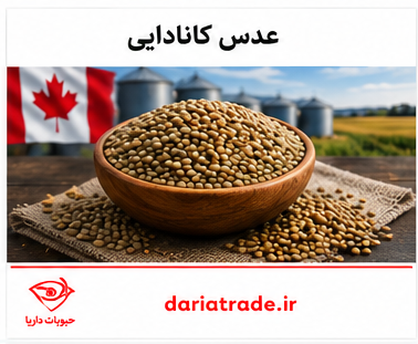 قیمت عمده عدس 