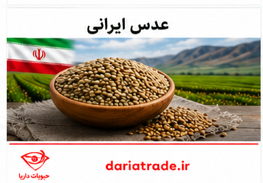 قیمت خرید عمده عدس