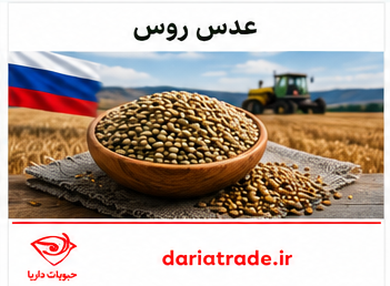 قیمت خرید عدس عمده