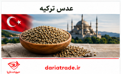 قیمت فروش عمده عدس ترکیه