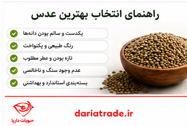 راهنمای خرید عدس عمده ای