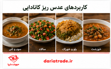 کاربرد عدس ریز کانادا