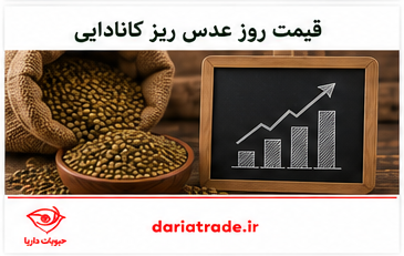 قیمت عدس ریز کانادایی به روز