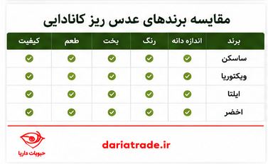 مقایسه ارقام عدس ریز کانادایی