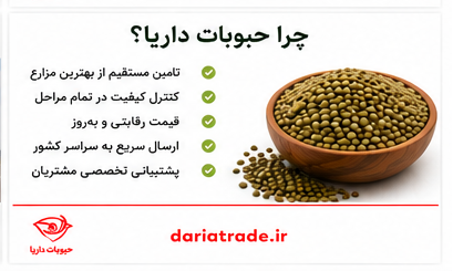 خرید عمده مستقیم عدس 