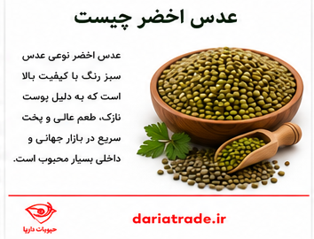 عدس اخضر چیست