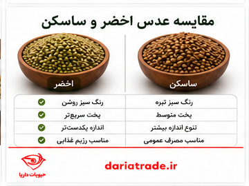 مقایسه عدس ساسکن و اخضر
