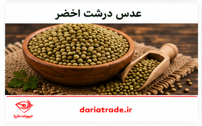 عدس درشت اخضر
