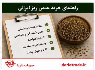 قیمت خرید عمده عدس ریز ایران