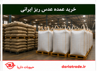 خرید عمده و قیمت عدس ریز ایرانی