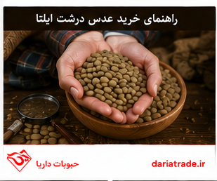 خرید عمده عدس درشت ایلتا با قیمت مناسب