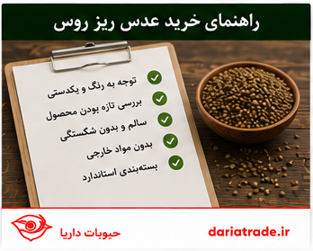 خرید عمده عدس روس ریز