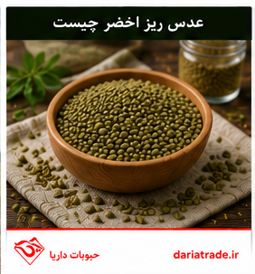 عدس ریز اخضر چیست