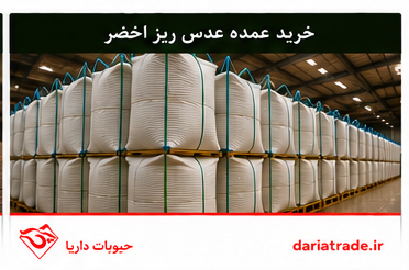 خرید عمده عدس ریز اخضر