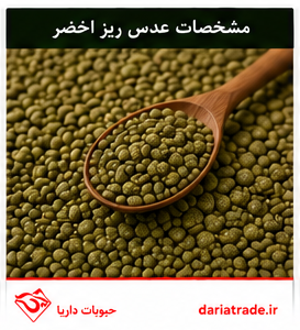 مشخصات عدس ریز اخضر