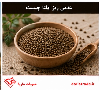 عدس ریز ایلتا کانادایی