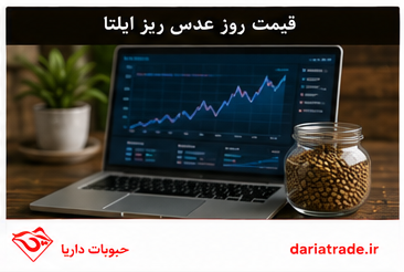قیمت عدس ریز ایلتا به روز