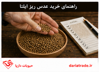 خرید و قیمت عمده عدس ریز ایلتا