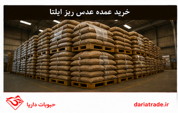 خرید عمده عدس ریز ایلتا