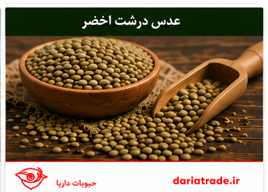 قیمت عدس درشت اخضر