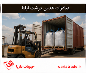 صادرات عدس درشت ایلتا