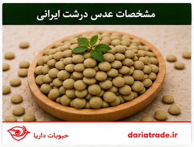 مشخصات عدس درشت ایرانی