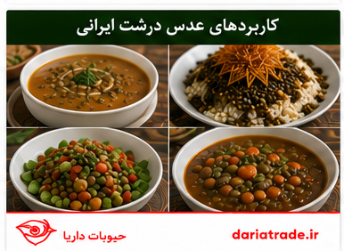 کاربرد عدس درشت ایران