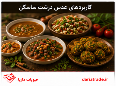 کاربرد و قیمت عدس درشت ساسکن