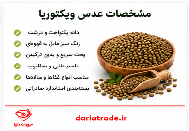 مشخصات عدس ویکتوریا