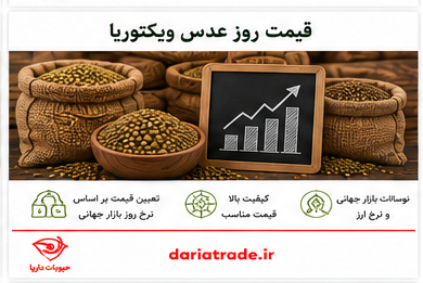 قیمت عدس ویکتوریا امروز