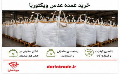 قیمت و خرید عمده عدس ویکتوریا