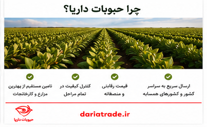 قیمت و خرید عمده عدس ویکتوریا