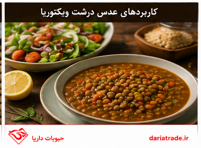کاربرد عدس ویکتوریای درشت