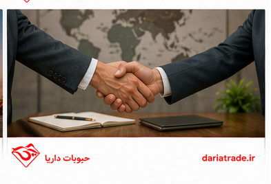 قیمت روز عدس درشت ویکتوریا