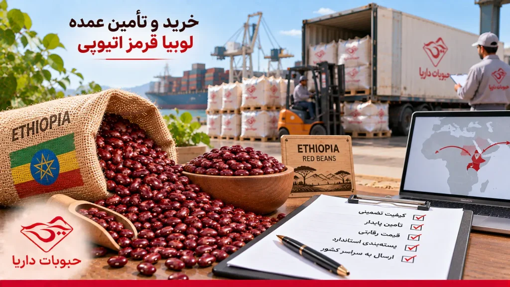 خرید و تامین لوبیا قرمز اتیوپی