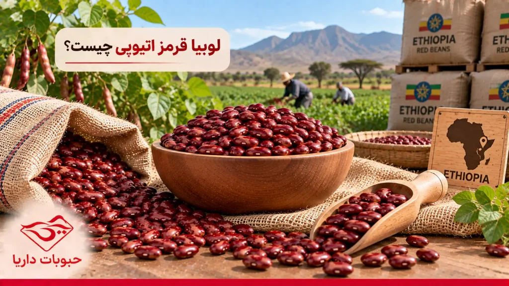 لوبیا قرمز اتیوپی چیست