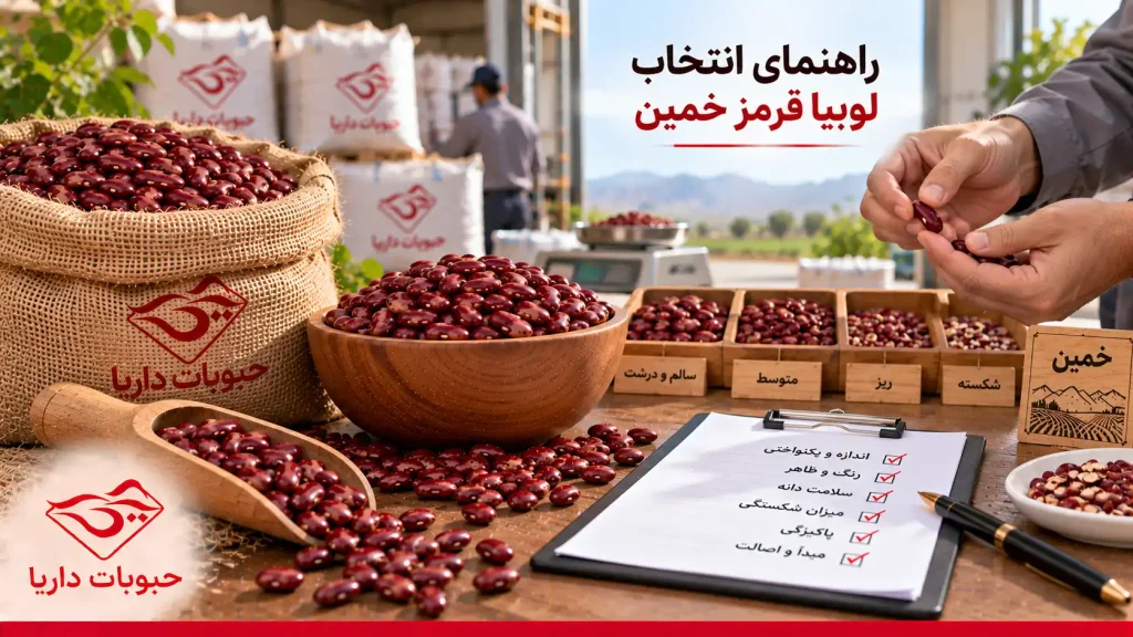 راهنمای انتخاب لوبیا قرمز از خمین