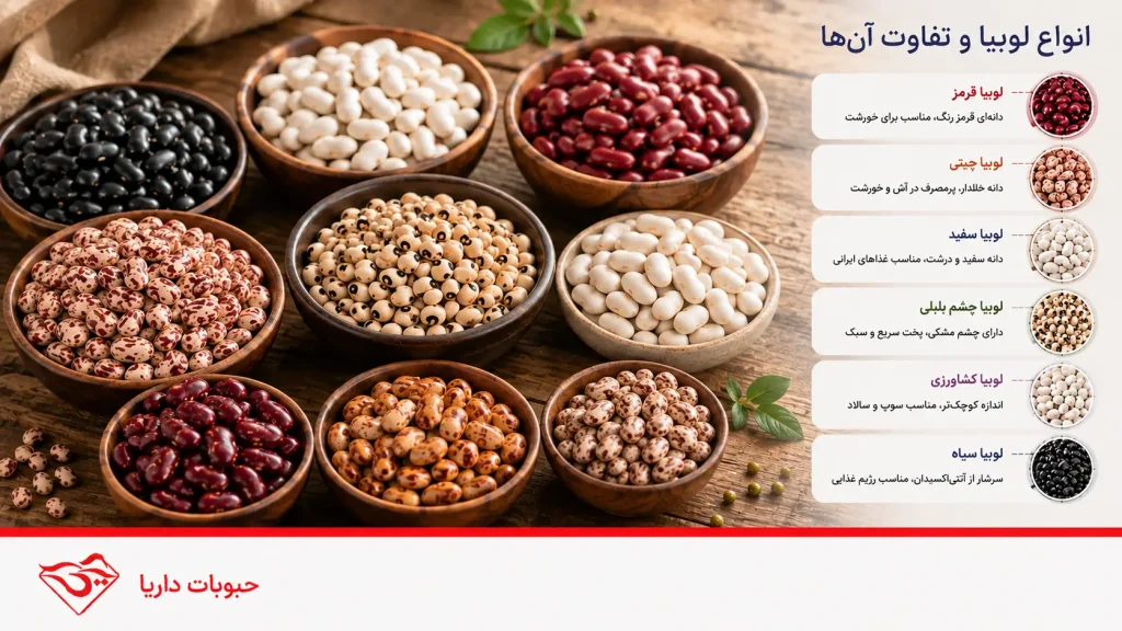 انواع لوبیا و تفاوت آن ها