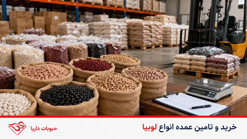 خرید و تامین عمده لوبیا