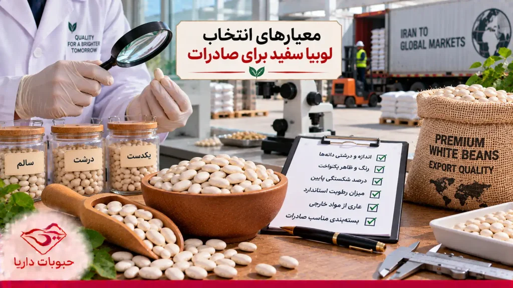 معیارهای انتخاب لوبیا سفید برای صادرات