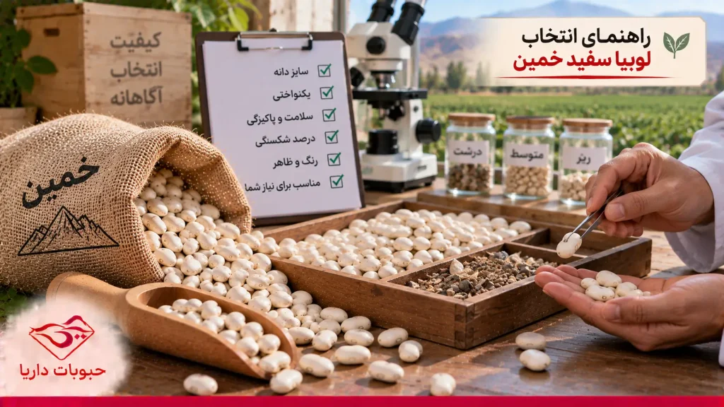 راهنمای انتخاب لوبیا سفید 