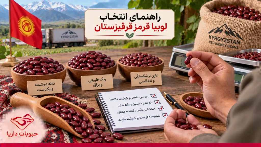 انتخاب لوبیا قرمز خارجی 