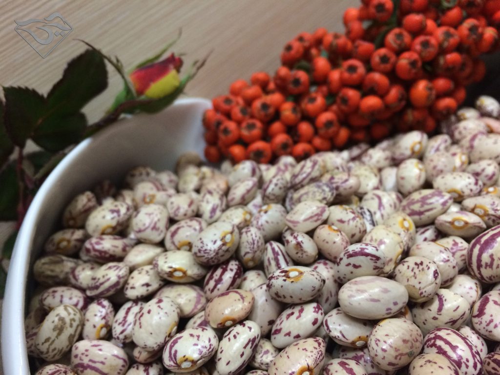 کیفیت پخت انواع لوبیا چیتی ایرانی