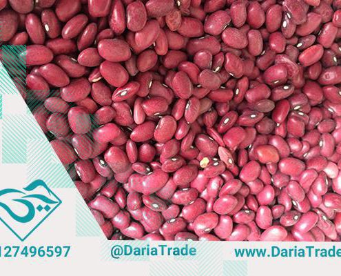 لوبیا قرمز مرغوب - بازار حبوبات ایران | قیمت خرید و فروش حبوبات | حبوبات  داریا