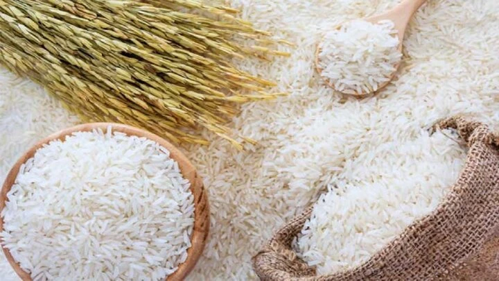خرید عمده برنج ایرانی