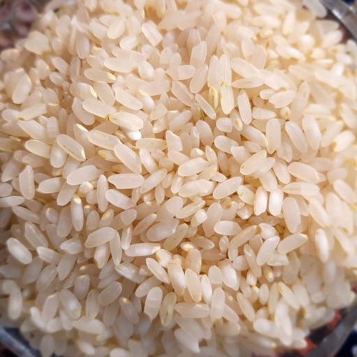 قیمت برنج لنجان