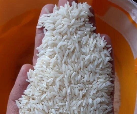 برنج ضیافت