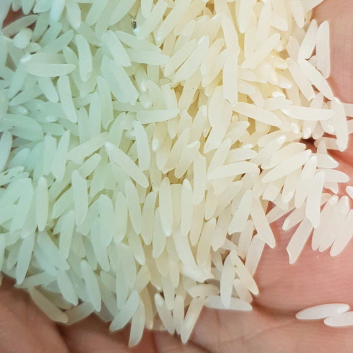 قیمت برنج فجر گلچین گرگان